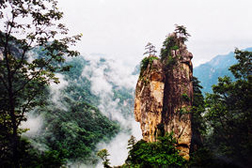 魯山網站建設