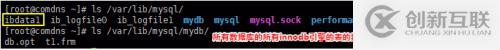 MySQL數(shù)據(jù)庫(kù)及表的管理