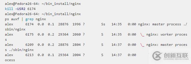 nginx信號(hào)集案例詳解