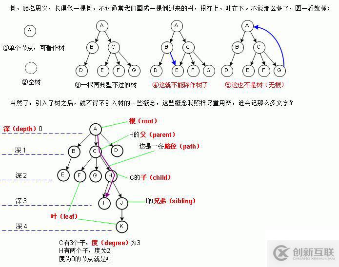 二叉樹?？济嬖囶}