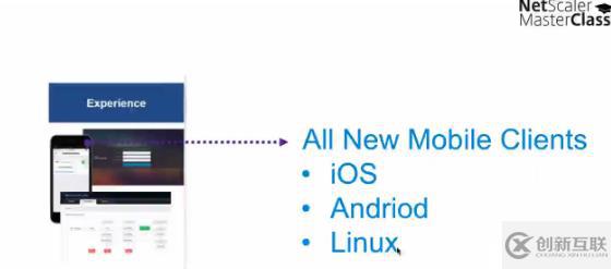 Citrix NetScaler 11的新功能 - Mast