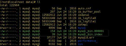 MySQL數(shù)據(jù)庫(kù)的災(zāi)難備份與恢復(fù)