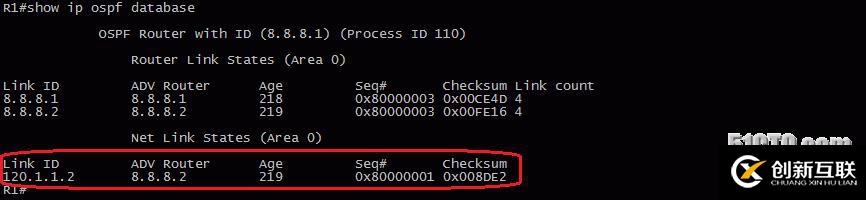 13、OSPF配置實驗之LSA2