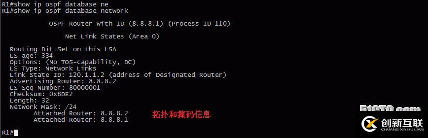 13、OSPF配置實驗之LSA2