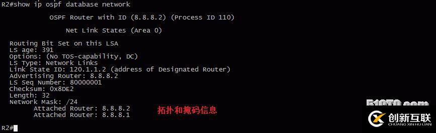 13、OSPF配置實驗之LSA2