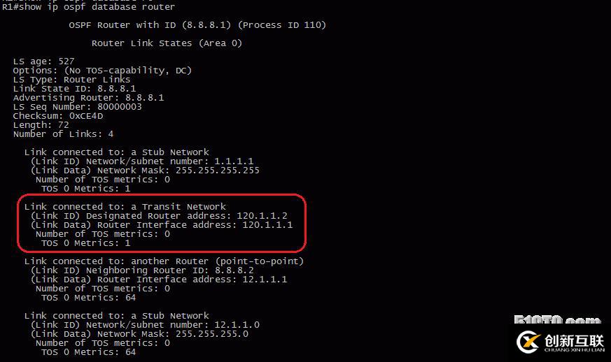 13、OSPF配置實驗之LSA2