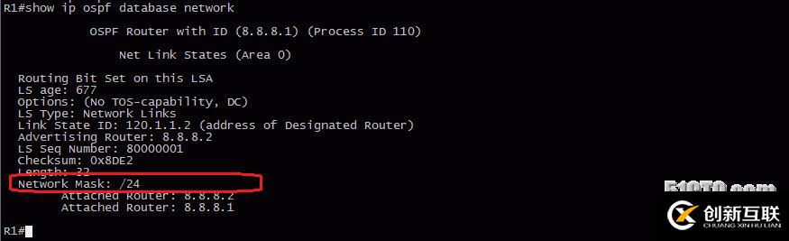 13、OSPF配置實驗之LSA2