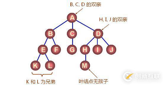 數(shù)據(jù)結(jié)構(gòu)之樹（三十四）