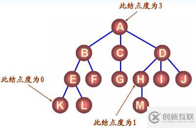 八、樹(shù)和二叉樹(shù)