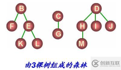 八、樹(shù)和二叉樹(shù)