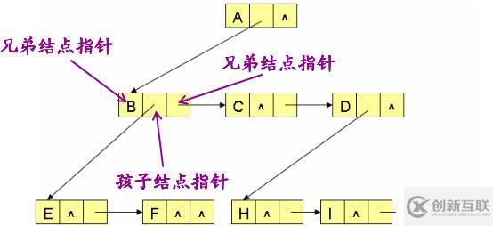 八、樹(shù)和二叉樹(shù)