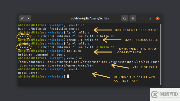 如何在 Linux 中運行一個 Shell 腳本