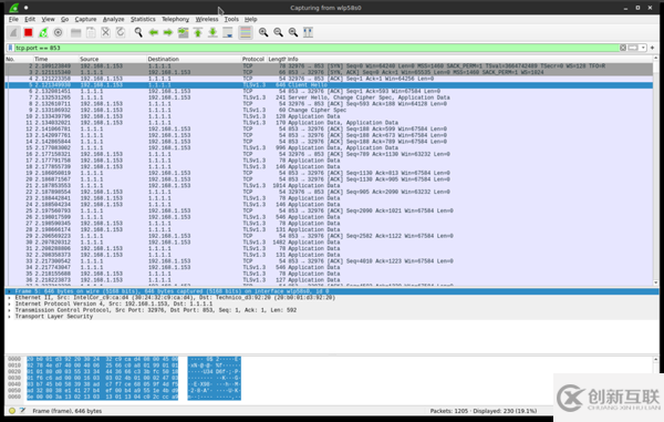 如何使用DNS over TLS