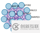 如何使用基因富集分析在線工具metascape