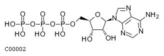 KEGG API的用法是怎樣的