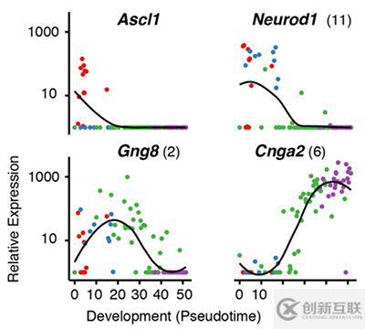 單細(xì)胞轉(zhuǎn)錄組中的pseudotime是什么