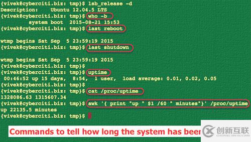 怎么用tuptime工具查看Linux服務(wù)器系統(tǒng)開機時間的歷史和統(tǒng)計