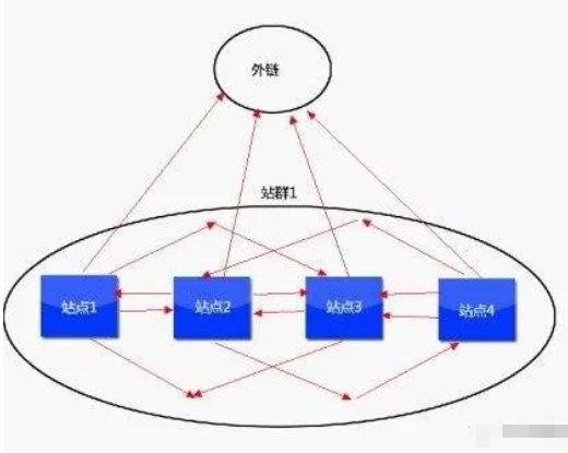 SEO白帽站群快速打造策略