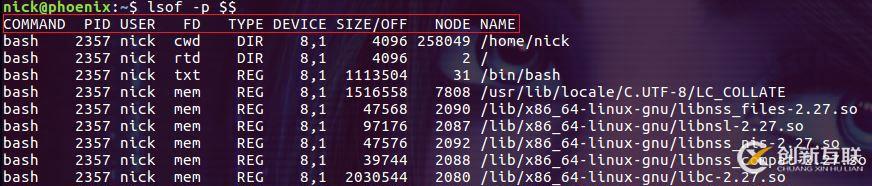 如何在Linux系統(tǒng)中使用lsof命令