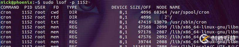 如何在Linux系統(tǒng)中使用lsof命令