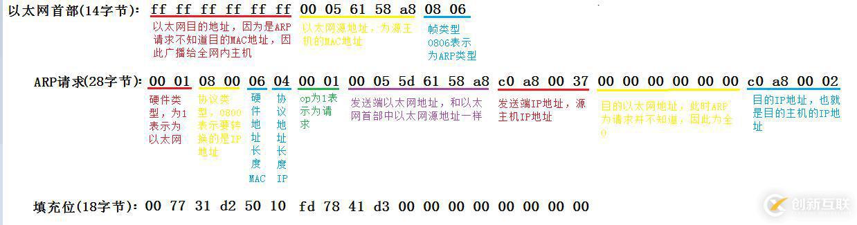 ARP數(shù)據(jù)報傳送格式