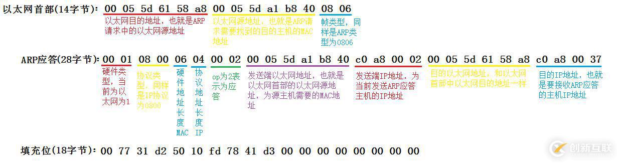 ARP數(shù)據(jù)報傳送格式