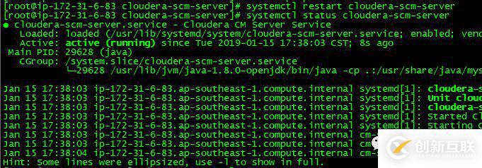 如何對(duì)Cloudera  Manager的數(shù)據(jù)庫密碼進(jìn)行脫敏