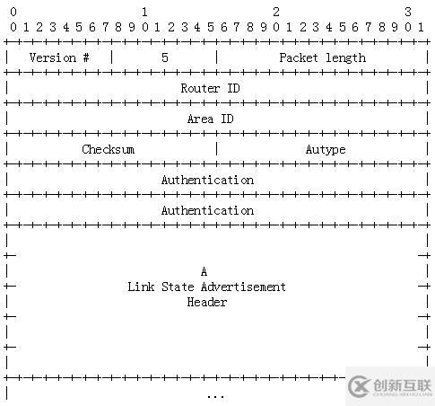 OSPF報(bào)文詳解