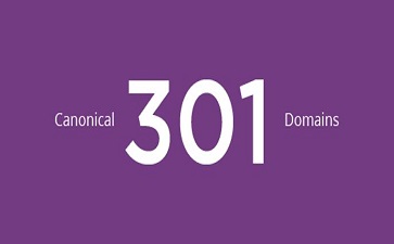 canonical、301、Domains