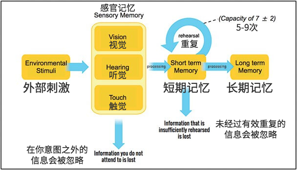 通過記憶心理學提升網(wǎng)站用戶體驗a