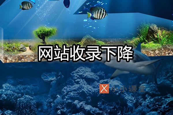 收錄量驟降的原因有哪些？這八點需要注意 怎么網(wǎng)站改版