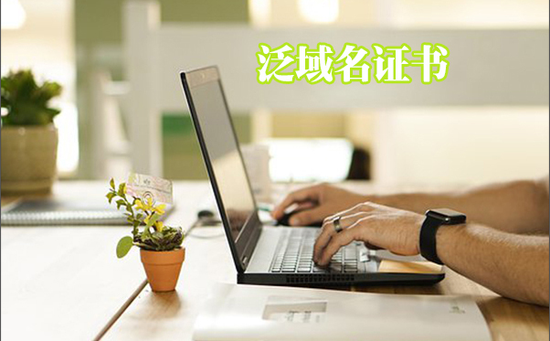 泛域名證書怎么樣，二級(jí)域名證書是什么