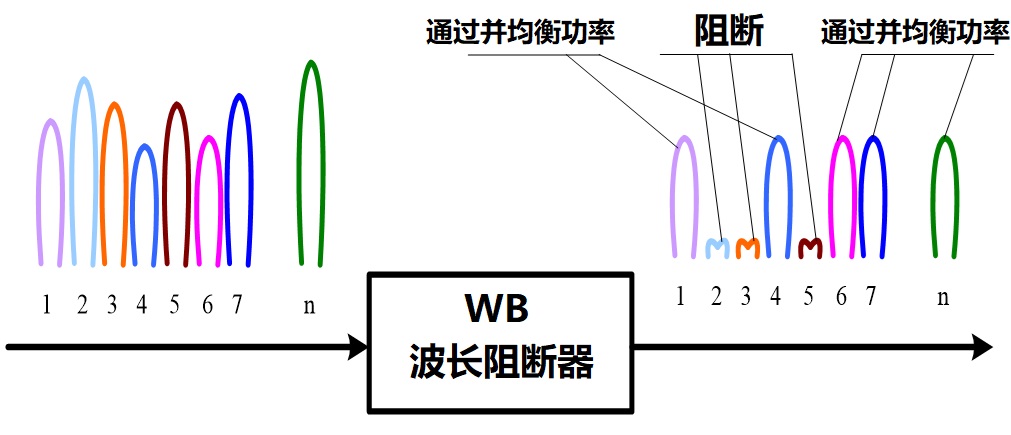 科普：什么是 ROADM？