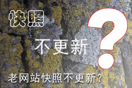 哪些因素造成老網(wǎng)站快照不更新？