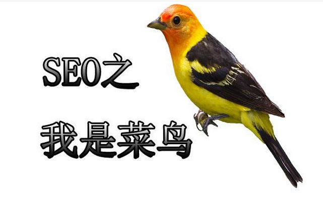 網(wǎng)站內(nèi)容快速收錄的SEO優(yōu)化方法(圖2)