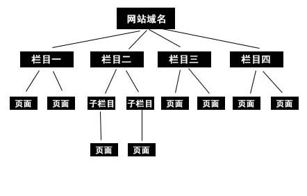 網站結構