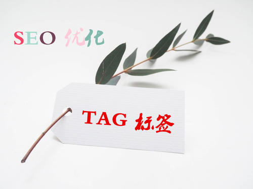 TAG標(biāo)簽的使用對(duì)于SEO優(yōu)化的重要性是什么？