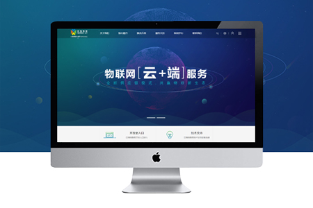 網(wǎng)站推廣公司